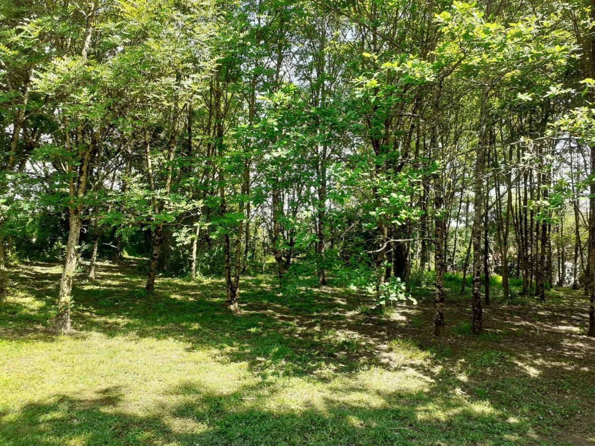 Villa La Le Petit Bois, Pres Rocamadour, Padirac *